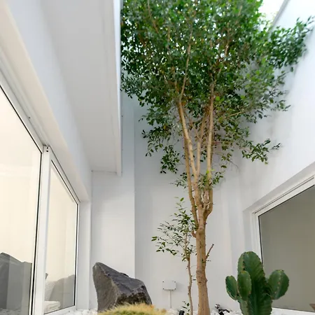 19 Duquesa Del Duque 3 Bedrooms אדחה