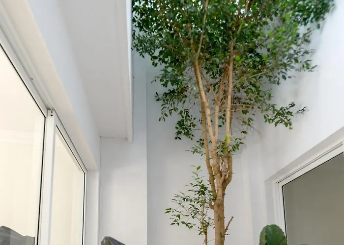 19 Duquesa Del Duque 3 Bedrooms Costa Adeje (Tenerife)